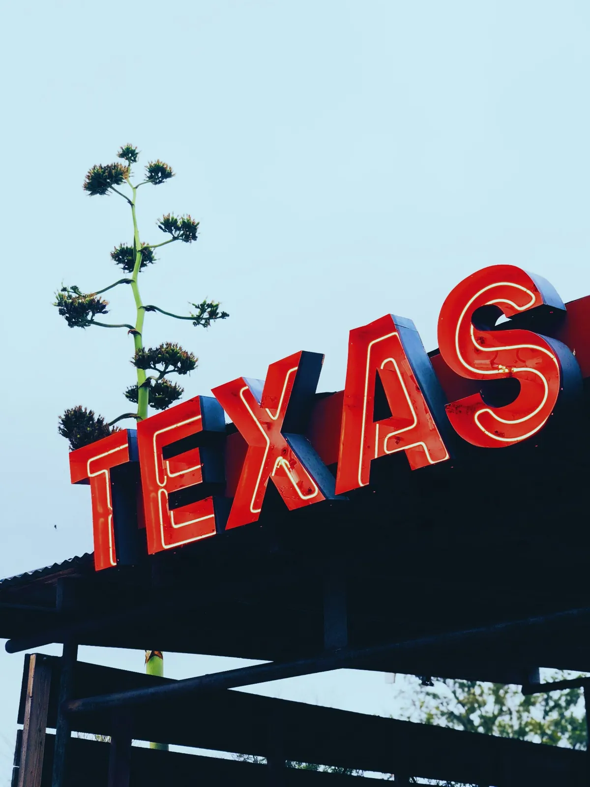 Red Texas neon sign