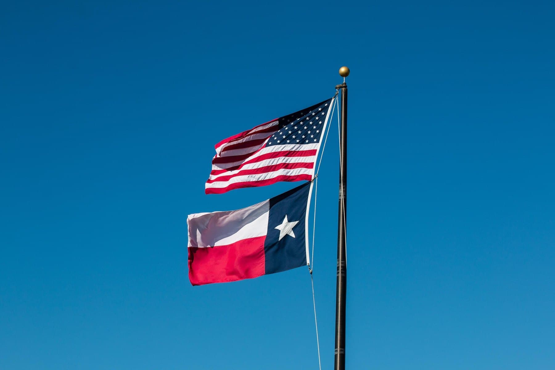 Texas and United States flags
